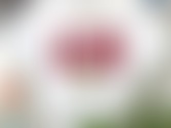 The Chicago Blackhawks Sport Classics T Shirt