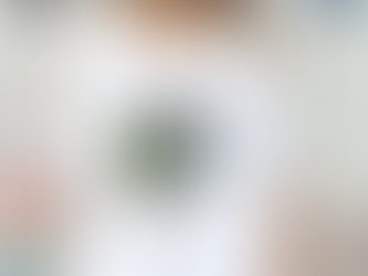 Official I’m a peacock you gotta let me fly goofy peacock T shirt