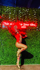 Garotas con Vestuarios de samba en medellin 