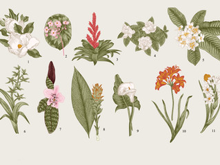 The Importance of Nature