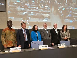 Hacia una Convención Internacional Sobre los Derechos de las Personas Mayores: avances en la primera reunión del IGWG en Ginebra