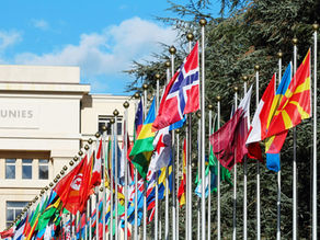 Hacia una convención de Naciones Unidas sobre los derechos de las personas mayores: el rol del Grupo de Trabajo Intergubernamental (IGWG)