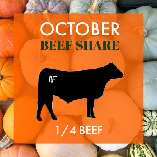 DEPOSIT - OCTOBER 1/4 Beef Share