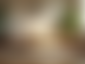 Creating Balance with the House of Synergy Concept