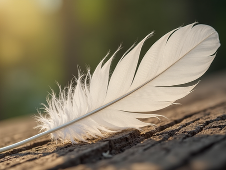 The Spiritual Significance of Feathers and Their Color Meanings