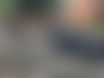 Fourth of July Parade (2025)