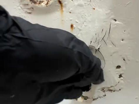 Unveiling the Truth About Refinishing: Debunking Common Myths