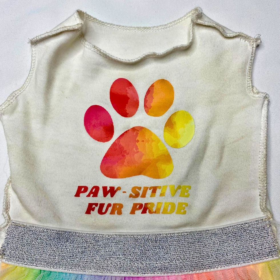 Thumbnail: Upcycled PRIDE Dog Dress