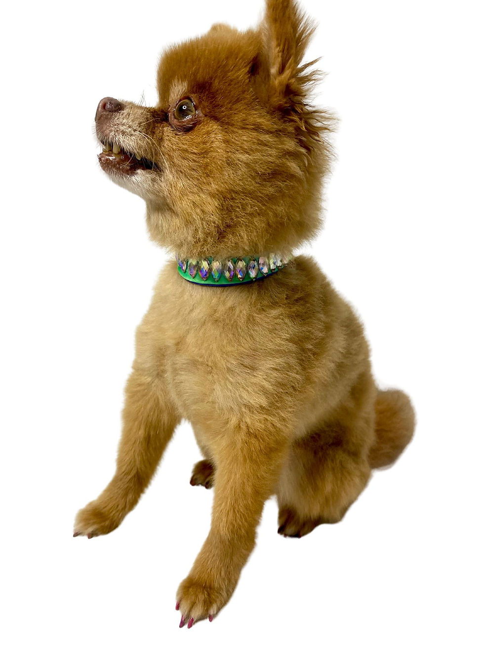 Thumbnail: Rhinestone Dog Necklace XS