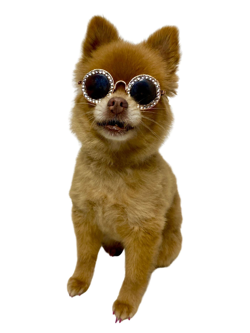 Thumbnail: Upcycled Rhinestone Pet Sunglasses- Black