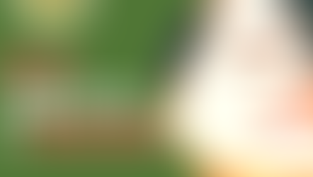 beJoY.it : amore per il Benessere