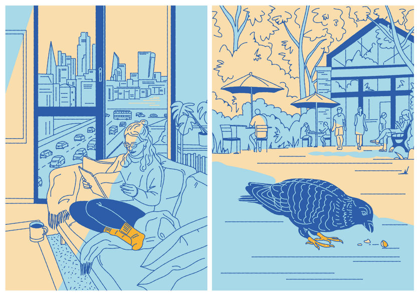 Sketched vector illustrations
