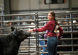 National Stock Show 2023