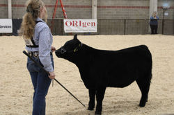 NILE: Northern International Livestock Exposition 2023