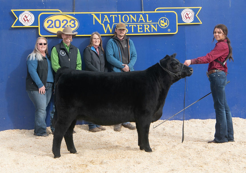 National Western Stock Show