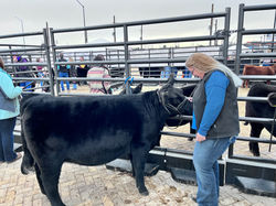 National Stock Show 2023