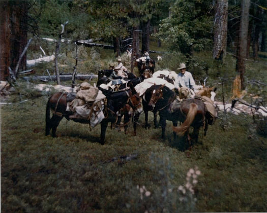 Phillips Ranch