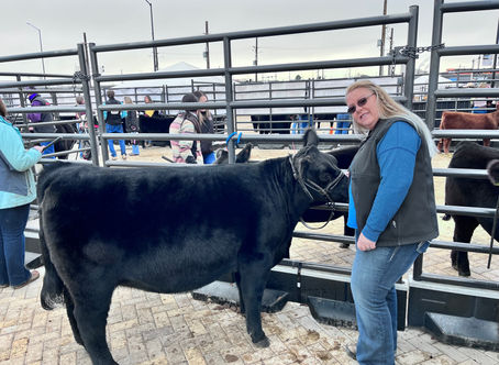 6 Bar 6 Phillips Ranch