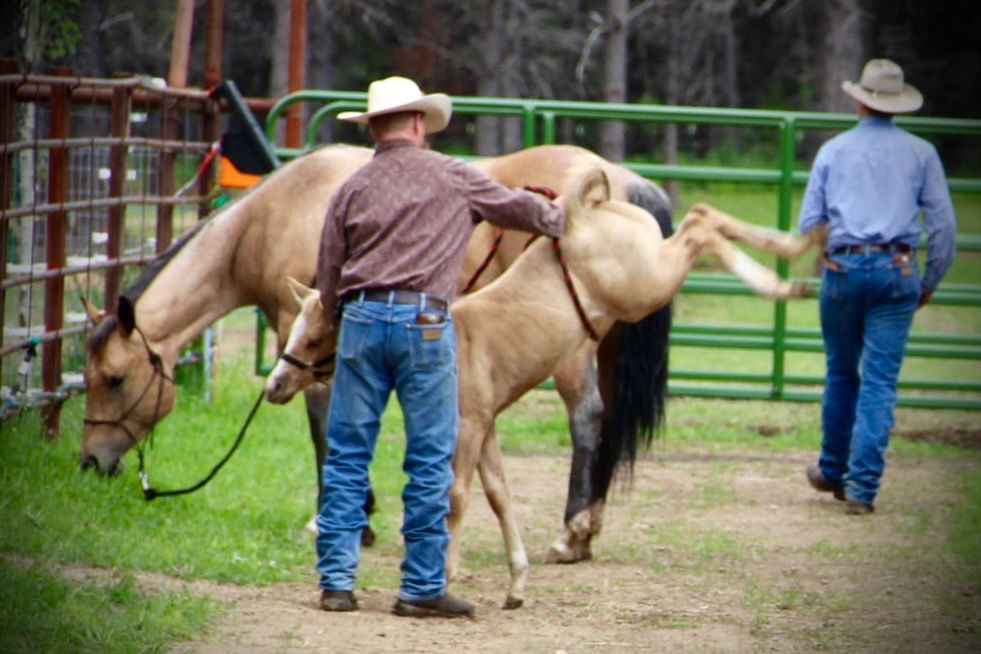 Six Bar Six Ranch