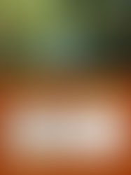 サンデーモーニング朗読会2025年11月