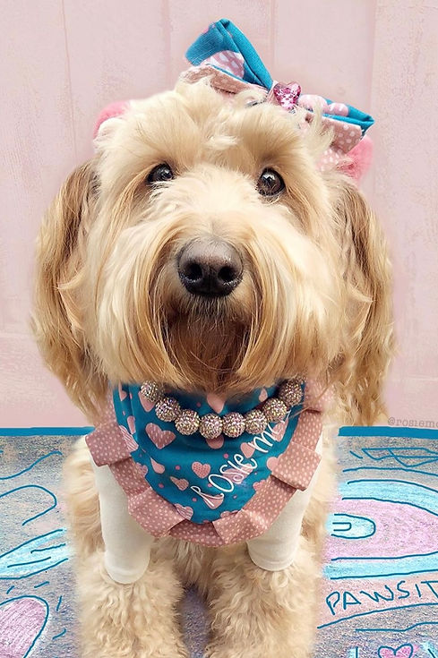 Rosie Love.jpg