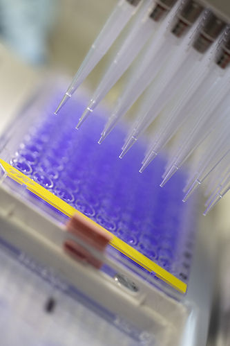 institutpasteur_66262.jpg
