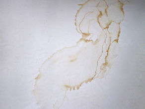 Cause & Effect