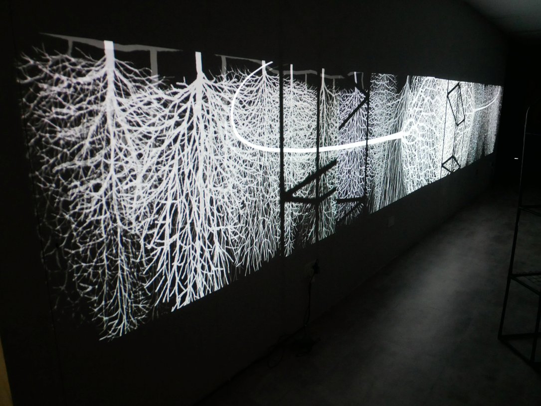 "Here There and Everywhere" 2019 from The Winter Tree Project Andrew Carnie