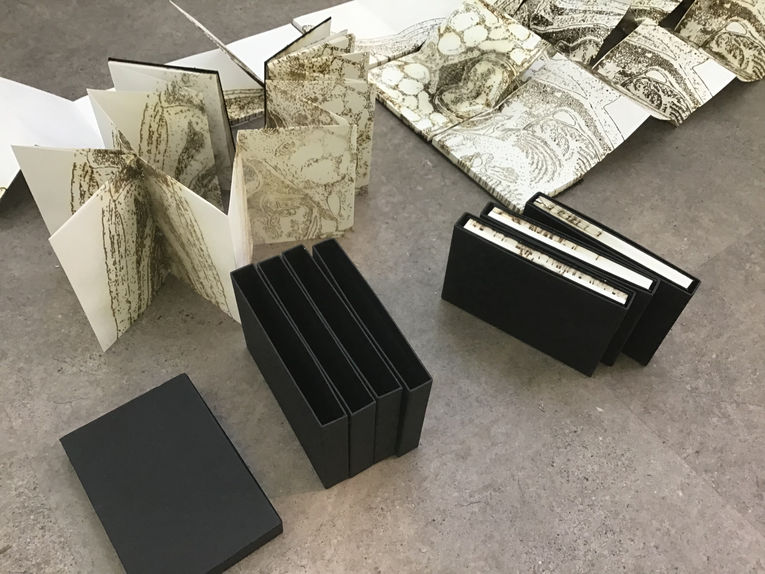 Under the skin: Anatomy, Art and Identity