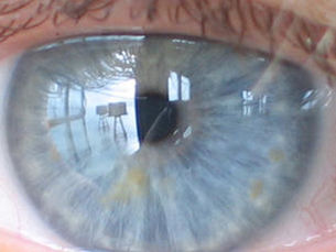 In My Mind's Eye