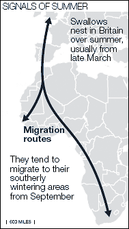 image source:http://www.telegraph.co.uk/earth/earthnews/3336271/Climate-change-confuses-migrating-birds.html