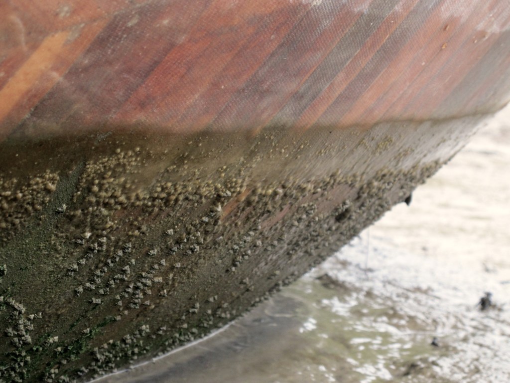 Below the Waterline