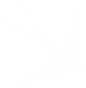 swallow 2 white.png