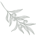 Olive branch 1 - green.png