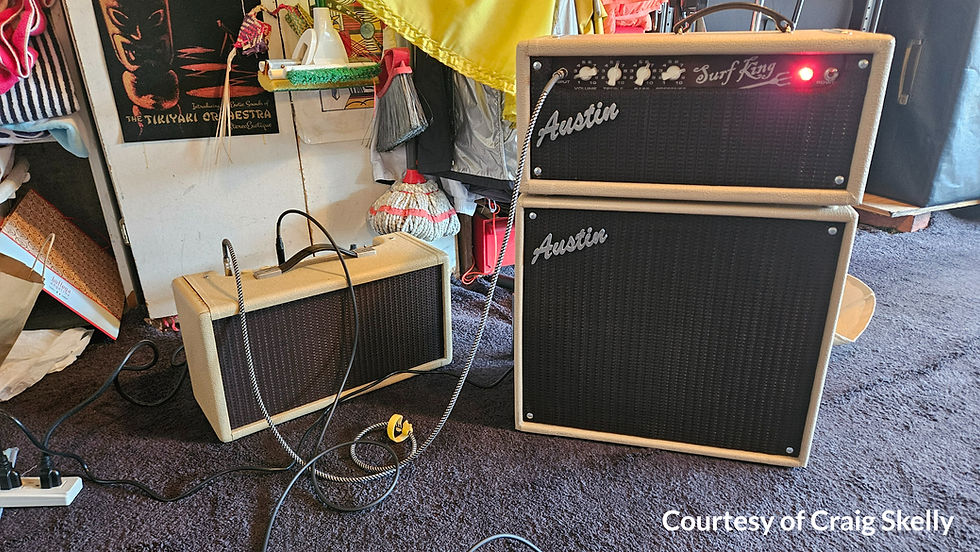 Thumbnail: Surf King Amplifier