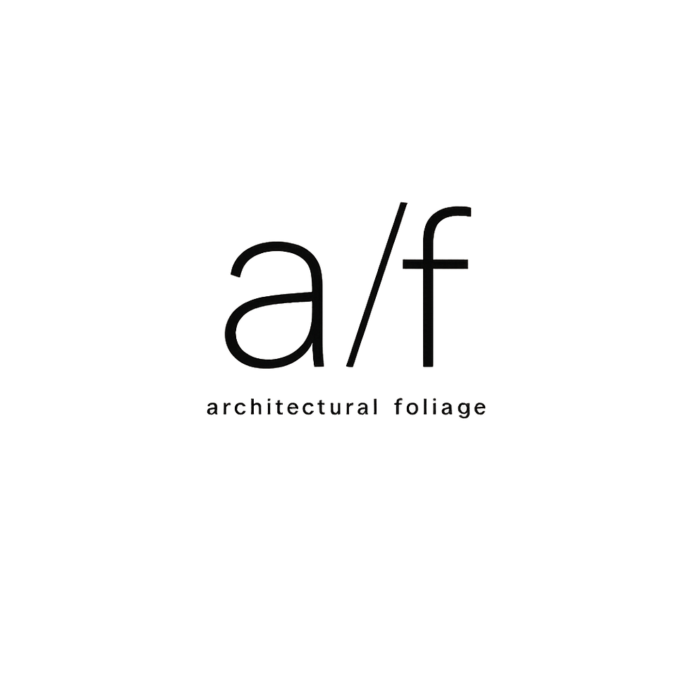 Architectural Foliage logo for rare indoor plants Toronto