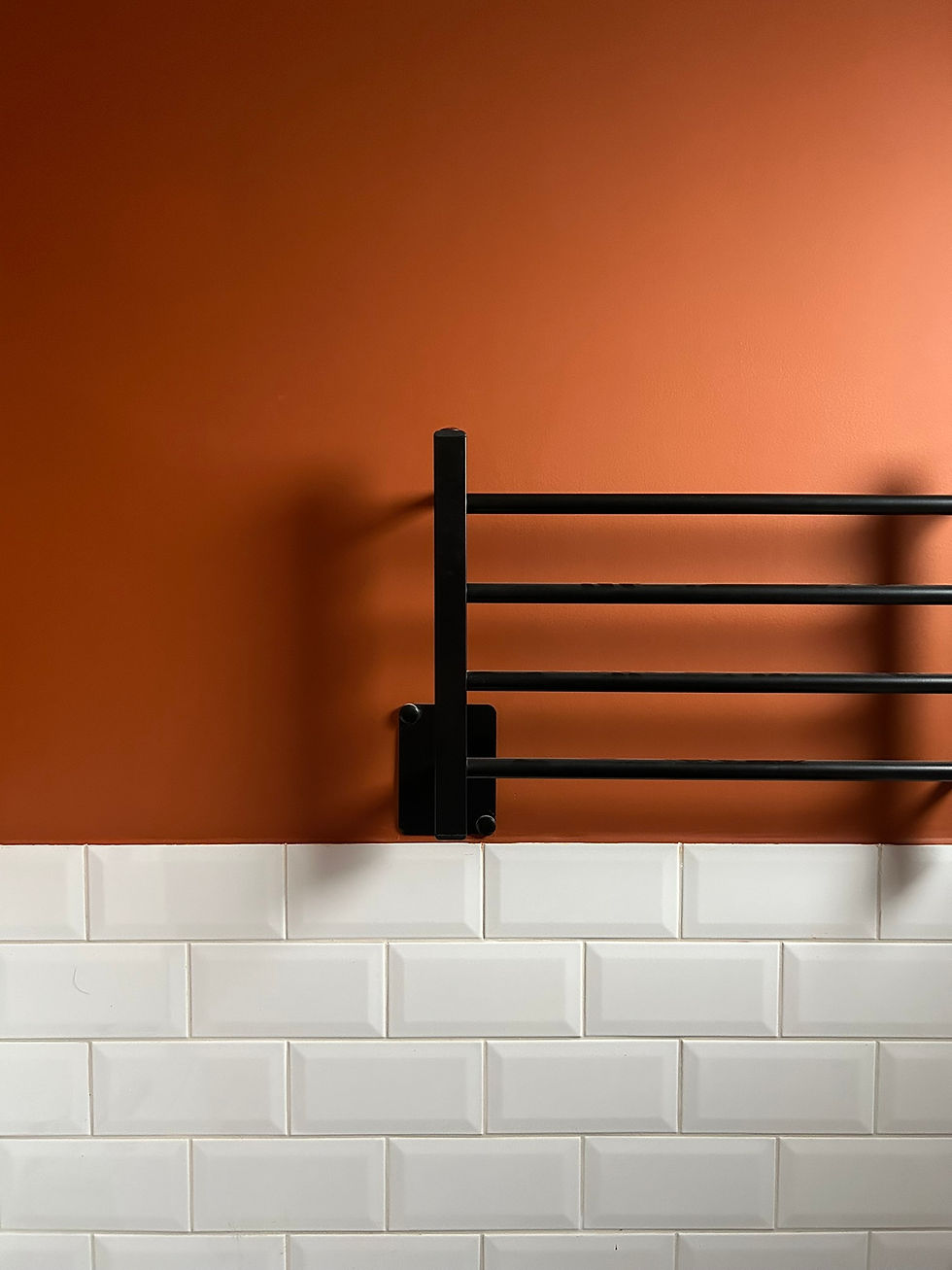 IMG_5379
