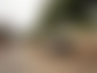 Semtran inicia interdições no Paraíso e Patronato para obras do Muvi