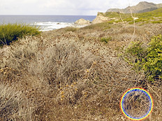 Meernahes Legegebiet