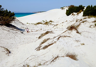 Sanddüne