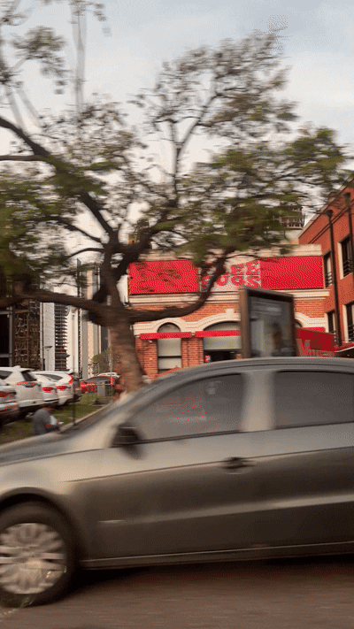 PASEO 1.gif