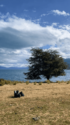 NATURALEZA_3.gif