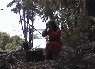 AMAR_2.gif