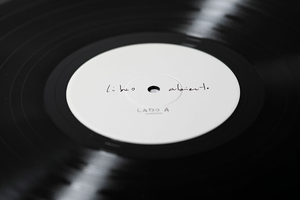 Miniatura: Libro Abierto (Vinilo)