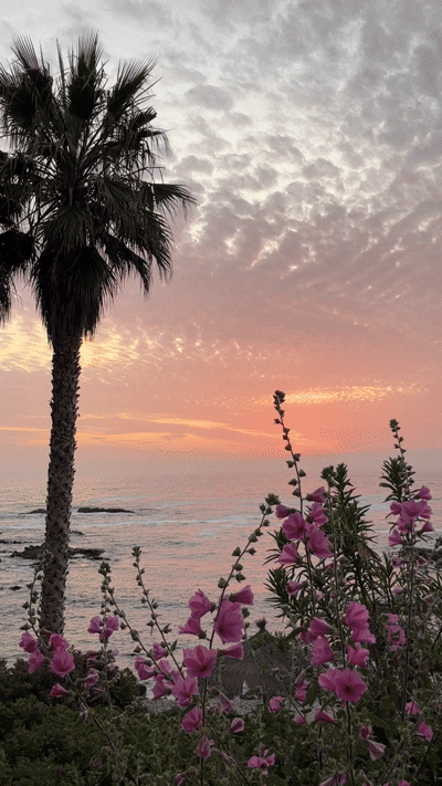 mar_6.gif