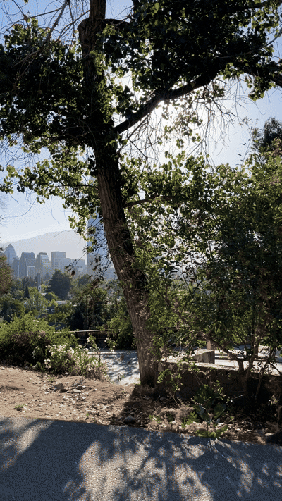 PASEO 4.gif