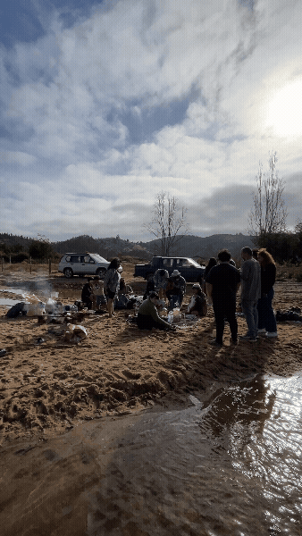 AMIGOS_1.gif