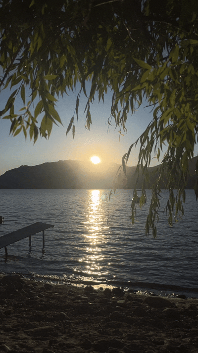 NATURALEZA_2.gif