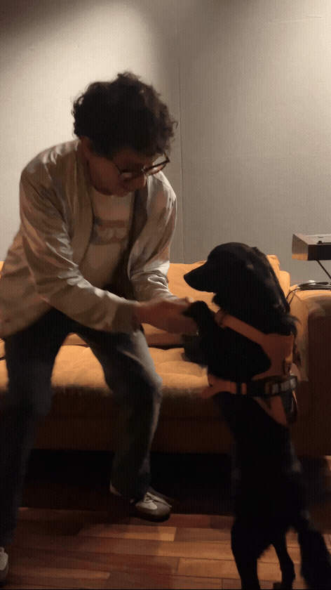 AMIGOS_2.gif