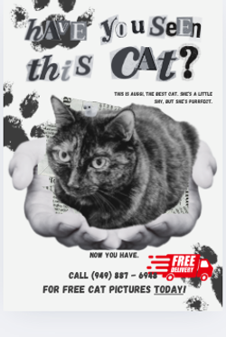 advertisement